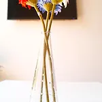 Hotel Dalt Valence