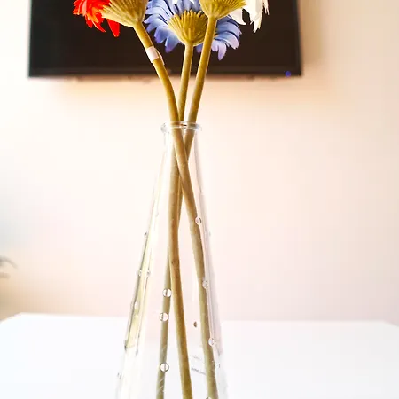 فندق Dalt فالنسيا