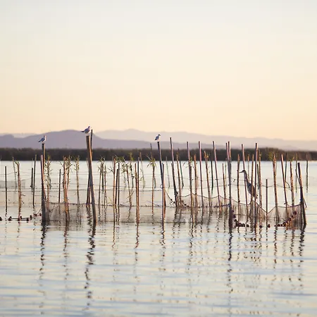 فندق Dalt فالنسيا